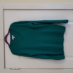 Kim Rogers, Large, Teal, V-Neck Sweater
